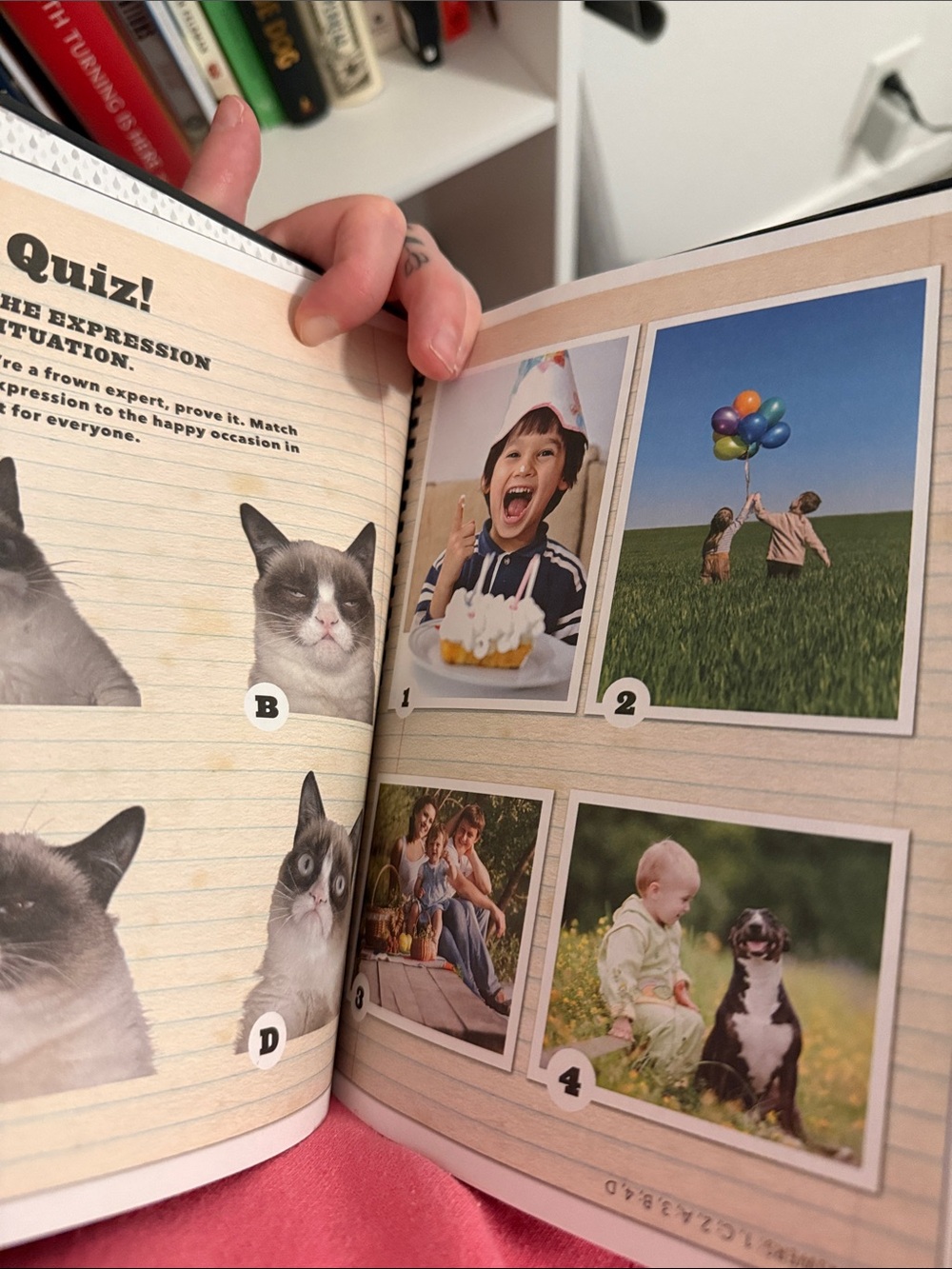 A Grumpy Book — Grumpy Cat - Picture 3 of 5